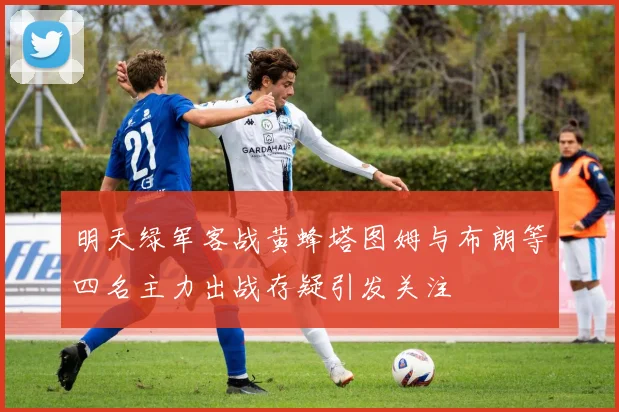 明天绿军客战黄蜂塔图姆与布朗等四名主力出战存疑引发关注